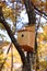 Birds house