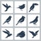 Birds icons in glyph style