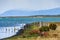 Birds on the island, Puerto Natales, Patagonia, Chile