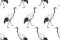 Birds Japanese cranes. Seamless pattern. Black and white.