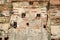 Birds live in the hole of brick wall in an old contemporary temple in Ayuthaya Thailand