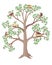 Birds living on a large, flowering, spring tree - vector full color picture. Birds in nests, sit and hatch eggs, feed the chicks a