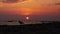 Birds look out over ocean at sunset on beach in silhouette