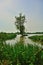 Birds lookout , floated meadow and old trees