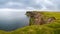 Birds market grassland rock cliffs at Iceland ocean shoreline under moody sky