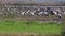 Birds Migration, Rift Valley, Israel, Natural reserve in the Valley of Hulah, Holy Land, Israel