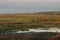 Birds in a natural wetland, Fogg Dam