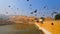 Birds over amber fort