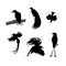 Birds of paradise vector silhouettes