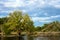 Birds perch on the Fox River in Illinois