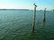 Birds perched on posts in sea