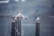 Birds perched on a railing near the harbor