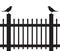 Birds on Picket Fence in Silhouette