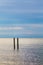 Birds on Pilings Against Stormy Sky