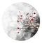 Birds on plum blossom branches in winter
