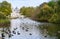 Birds on pond with fountain, St. James park