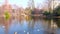 Birds on pond in Stadtpark, Vienna, Austria