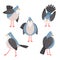 Birds poses. Cartoon bird character, isolated emotional bluebird expressions, flying walks looks turned away poultry pos