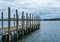 Birds Rest on Ocean Lake Dock