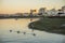 Birds on Ria Formosa with city of Faro as a background, Algarve, Portugal