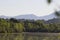 Birds. Riverfront Regional Park, Sonoma Wine Country, California