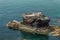 Birds on a Rocky Outcrop in the Turquoise Sea