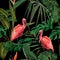 Birds Scarlet Ibis in the thickets of a flowering rainforest. Hand drown  illustration.