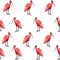 Birds Scarlet Ibis in the thickets. Hand drawn  illustration. Tropical jungle on white background.