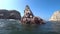 Birds and a sea lion over wavy sea in Ballestas Island, Peru