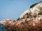 Birds And Sea Lions Ballestas