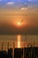 Birds and the sea at sunset at bangpoo, Samut Prakan, Thailand