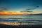 Birds silhouetted on the beach enjoying the sunset