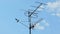 Birds sitting on TV antenna blue sky background