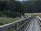 Birds sitting on a wooden footbridge