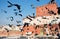 Birds soars into the sky against a background of the ancient buildings