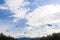 Birds Swarming in cloudy blue sky with fluffy clouds and blue montains in the background