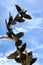 Birds taking flight sculpture