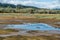 Birds At Theler Wetlands