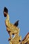 Birds on top of Naga dragon golden statue in Thailand temple