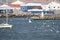 Birds on a yacht, Luderitz, Namibia