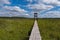 Birdwatching tower and footbridge across the swamp at Bolshom rakovom Big Crayfish Lake. Eco route in the