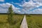 Birdwatching tower and footbridge across the swamp at Bolshom rakovom Big Crayfish Lake. Eco route in the