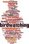 Birdwatching word cloud