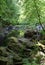 The Birks of Aberfeldy, circular walking route in the Moness Glen outside Aberfeldy in the Highlands of Scotland, UK.