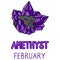 Birth Stone for February Clip Art. Amethyst Crystal Mystic Order Precious Rock for Birthday date. Purple Treasure.Illustration