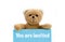 Birthday baby shower invitation: you are invited blue card with brown teddy bear holding with two hands the note with message