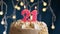 Birthday cake with 21 number pink burning candle on blue background. Candles blow out. Slow motion and close-up view