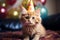 Birthday cat kitty funny cute pretty happy small animal playful festive hat celebrate, cake candles gifts banner copy