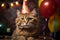 Birthday cat kitty funny cute pretty happy small animal playful festive hat celebrate, cake candles gifts banner copy