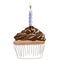 Birthday cupcake blue vector